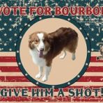 A Vote for Bourbon